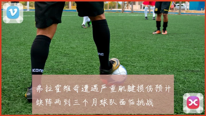 弗拉霍维奇遭遇严重肌腱损伤预计缺阵两到三个月球队面临挑战