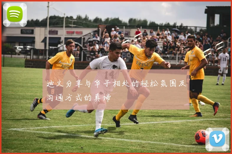迪文分享与华子相处的轻松氛围及沟通方式的真谛